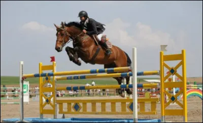 Quelle est cette discipline ?