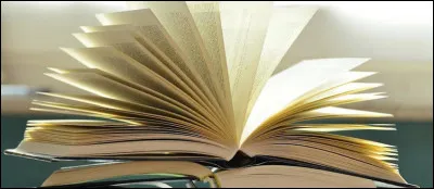 Qui est l'auteur du roman nommé "Un soir à Monte-Carlo" ?