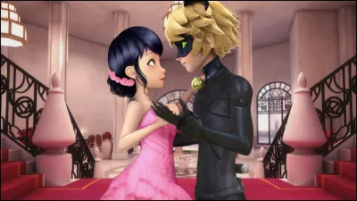 Qui sont Ladybug et Chat Noir ?