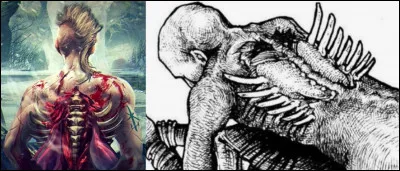 Cette fa&ccedil;on d�ex&eacute;cuter les condamn&eacute;s n'a, peut-&ecirc;tre, pas r&eacute;ellement exist&eacute;, il est possible que cela soit une mauvaise traduction d�un texte scandinave ! Cette m&eacute;thode se nomme &laquo; l'aigle de sang &raquo;.A vous de &laquo; d&eacute;crire &raquo; comment les vikings op&eacute;raient !