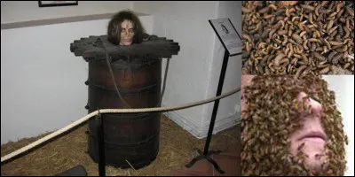 Parlons du &laquo; scaphisme &raquo;. Cette fa&ccedil;on de tuer n'a, peut-&ecirc;tre, jamais exist&eacute;e. En effet, seuls Plutarque et un m&eacute;decin en parlent ! Le condamn&eacute; &agrave; mort met tr&egrave;s longtemps &agrave; mourir et doit souffrir &eacute;norm&eacute;ment et dans des odeurs terribles !En quoi consiste cette horrible m&eacute;thode ?