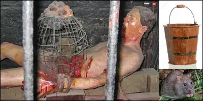 Cette m&eacute;thode de torture et de mise &agrave; mort est probablement une des plus horribles ! Pour cela, vous avez besoin, entre autres, d'une victime, d'une source de chaleur, d'un animal et d'un autre objet�Quelle est cette torture ?
