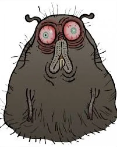 Quel animal préfères-tu ?