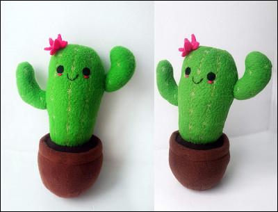 Un cactus se trouve généralement dans le désert :