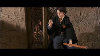 Dans le premier cours de vol, Malefoy vole le rappeltout de Neville, mais Harry arrive à le lui reprendre. Ensuite...