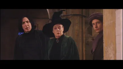 Quels professeurs ont protégé la pierre philosophale ?