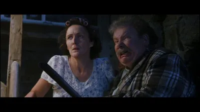 Selon Mr. et Mrs. Dursley, comment sont morts les parents de Harry ?