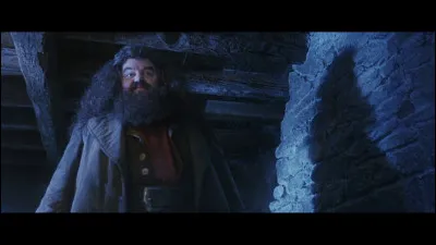 Comment Hagrid est-il venu chercher Harry lorsque celui-ci se cache avec son oncle et sa tante dans une vieille cabane au milieu de l'océan ?