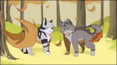 Ta compagne a des chatons.