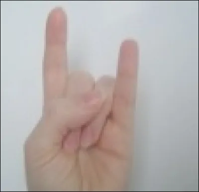 Dans le langage des signes, quelle lettre de l'alphabet est représentée par ce signe ?