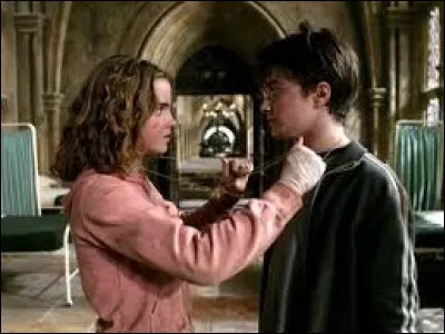 Qui donne à Hermione le retourneur de temps ?