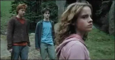 Dans quel épisode Hermione gifle-t-elle Drago Malefoy ?