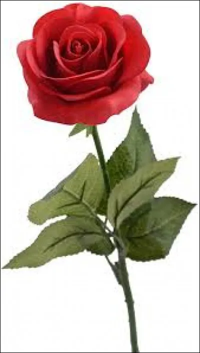 Ces attributs sont la rose, la pomme, le coquillage...