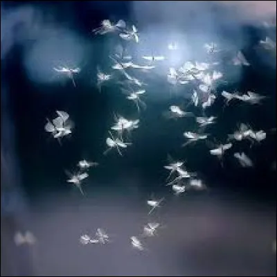 Quel groupe a créé le titre "Another One Bites The Dust" ?