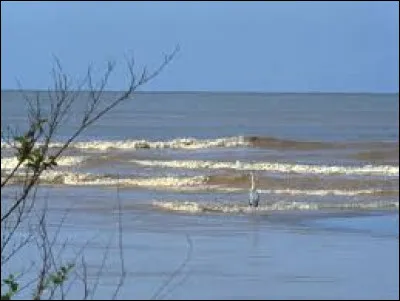 Quel pays n'est pas bordé par la mer Caspienne ?