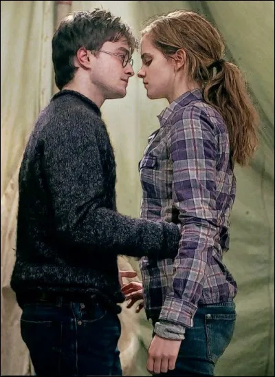Que penses-tu du couple Harmione ?