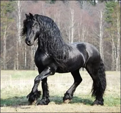 Quel est ton caract&egrave;re ?