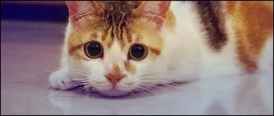 Daisy est-elle une humaine ?