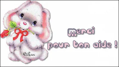 "Merci pour votre/ton aide".