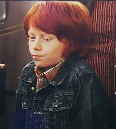 Dans quelle maison va Hugo Granger-Weasley ?