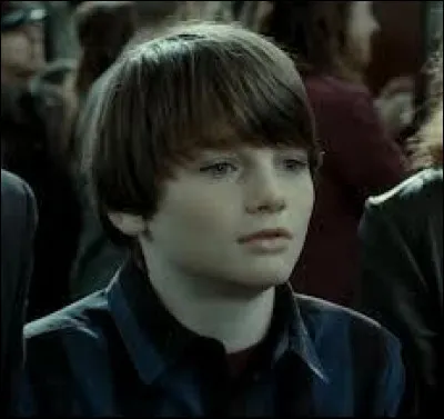 Dans quelle maison va Albus Severus Potter ?
