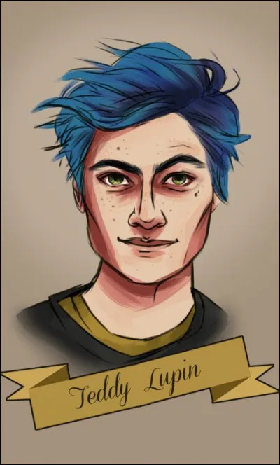 Dans quelle maison va Ted Lupin ?