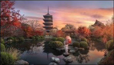 Qu'apportent les jardins japonais ? (en général)