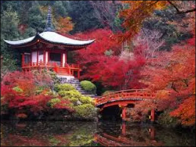 L'eau est une symbolique forte des jardins japonais.