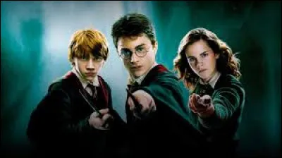 Vous ouvrez votre lettre et découvrez que vous êtes un sorcier. Que ressentez-vous ?