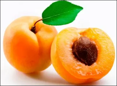 L'abricot pousse sur un arbre appelé abricoter.