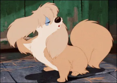 Quel est le nom de cette chienne ?