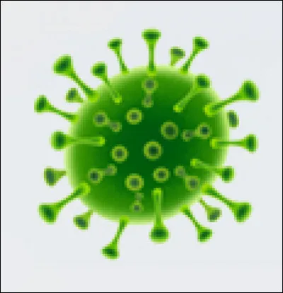 Quelle est la devise en Chine ?