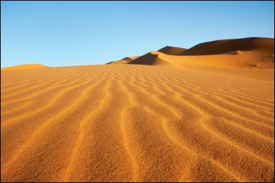 Quelle est la devise du Sahara Occidental ?