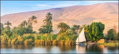 Le Nil traverse l'Algérie.