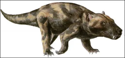 Est-ce que cette créature a pu exister ?