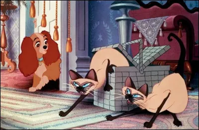 Quels sont ces chats ?