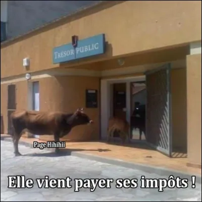 Explication du Trésor Public : En cas de désaccord, un accord devra être trouvé !