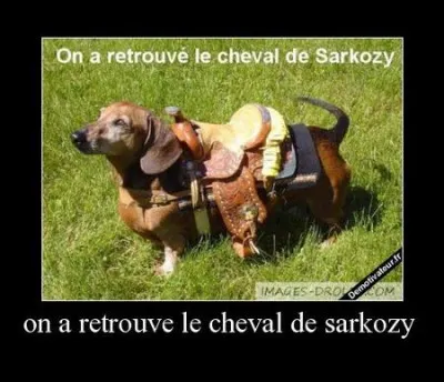 Explication d'un assuré : La cause indirecte de l'accident est un petit homme, dans une petite voiture, avec une grande gueule !