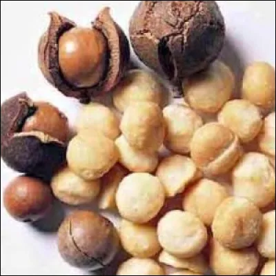 Quelles sont ces noix issues d'une variété de noyer du Queensland australien ?