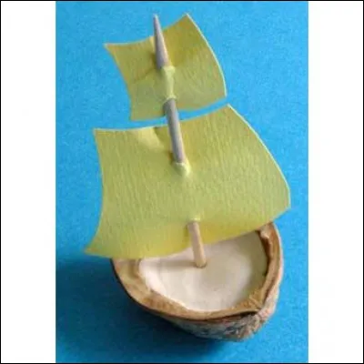 Qu'appelle-t-on une coque de noix ?