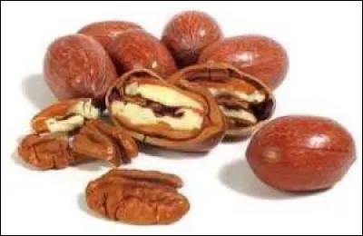 Quelles sont ces noix originaire d'Amérique centrale très consommés par le Amérindiens ?