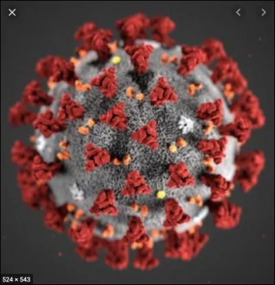 Quand s'est joué le dernier match avant la suspension de la Ligue 1 à cause de la pandémie Covid-19 en 2020 ?