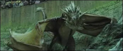 Quelle est la 1ère épreuve du tournoi des Trois Sorciers (enfin des 4) ?