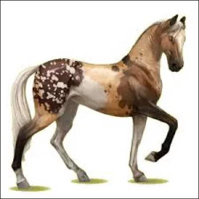 En quelle ann&eacute;e la plateforme de jeu vid&eacute;o "&Eacute;quideow" a-t-elle &eacute;t&eacute; lanc&eacute;e ?