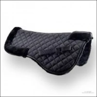 Pour s'&eacute;quiper correctement, un cheval doit obligatoirement avoir un amortisseur.