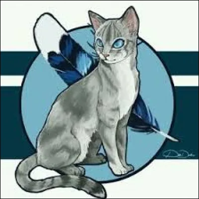 Ton modèle, c'est...