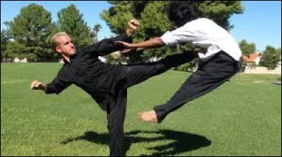 Quel autre nom que "arts martiaux" les chinois donnent-ils ?