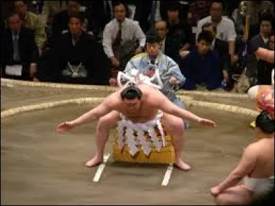 Quel est le nom de la plateforme recouverte de sable sur laquelle les luttes sumo ont lieu ?