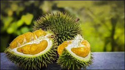 Surnommé le roi des fruits d'Asie, c'est le :