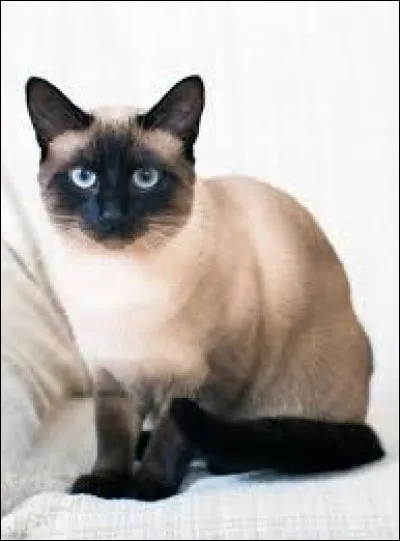 Et voil&agrave; derni&egrave;re question ! Et celle-l&agrave;, la connaissez-vous ?